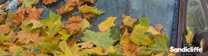 Leaves on a car in Autumn